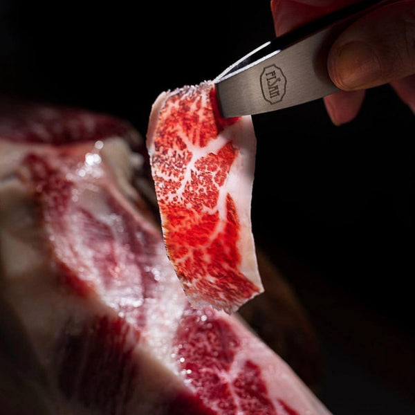 Fisan "Alta Gastronomía" Acorn-fed 100% Iberico Ham Bone-In Leg (+/- 8.5Kg)