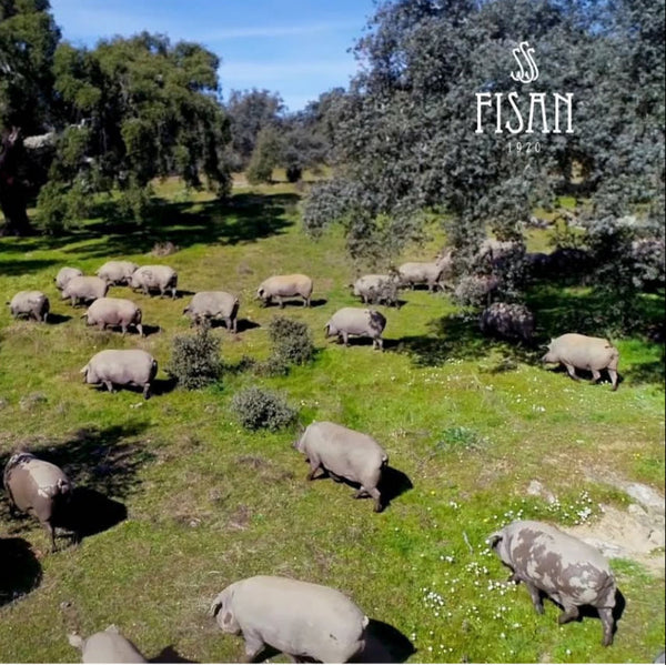 Fisan Acorn-fed 100% Iberico Ham Hand-Carved 70gr