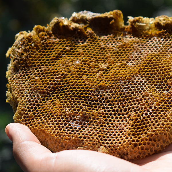 La Madia Regale White Truffle Acacia Honey 130gr